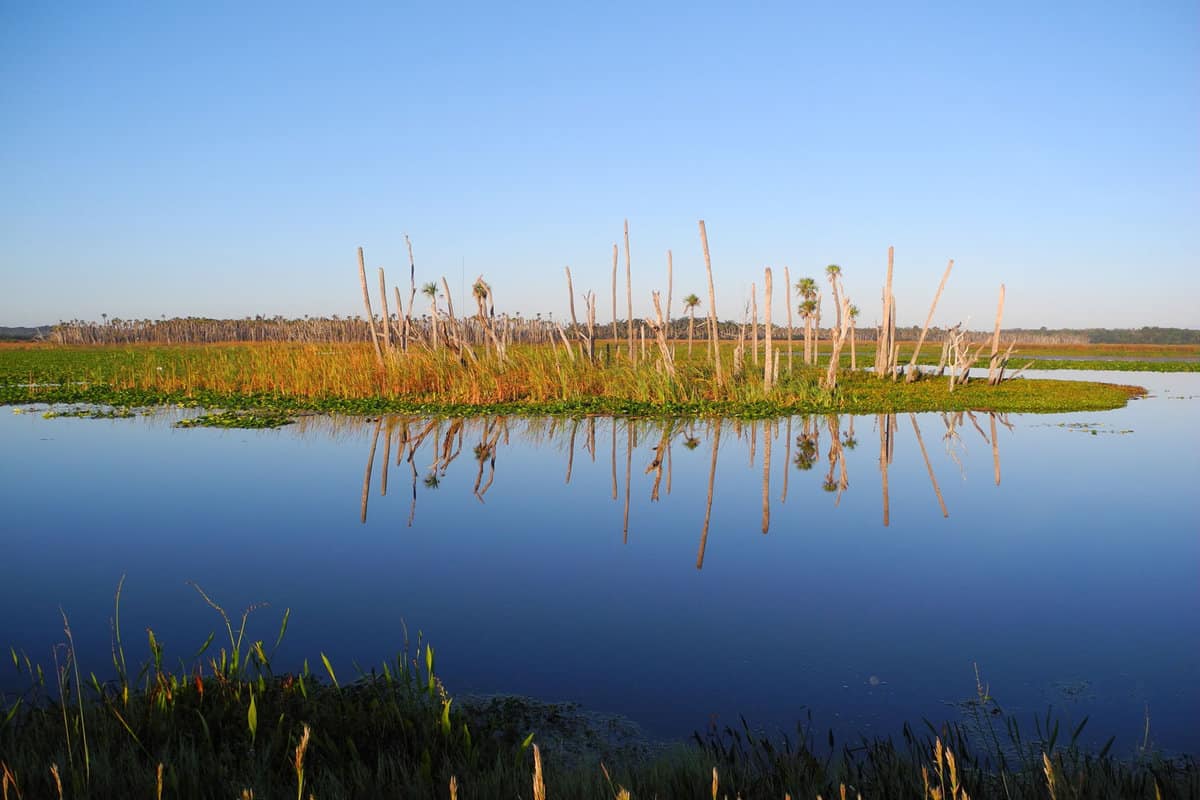 Orlando Wetlands Park Panorama Reflection Travel Harmony - florida