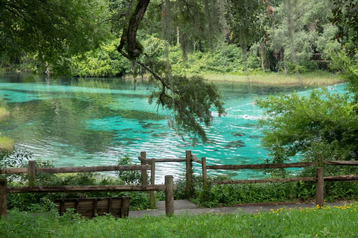 Rainbow Springs State Park