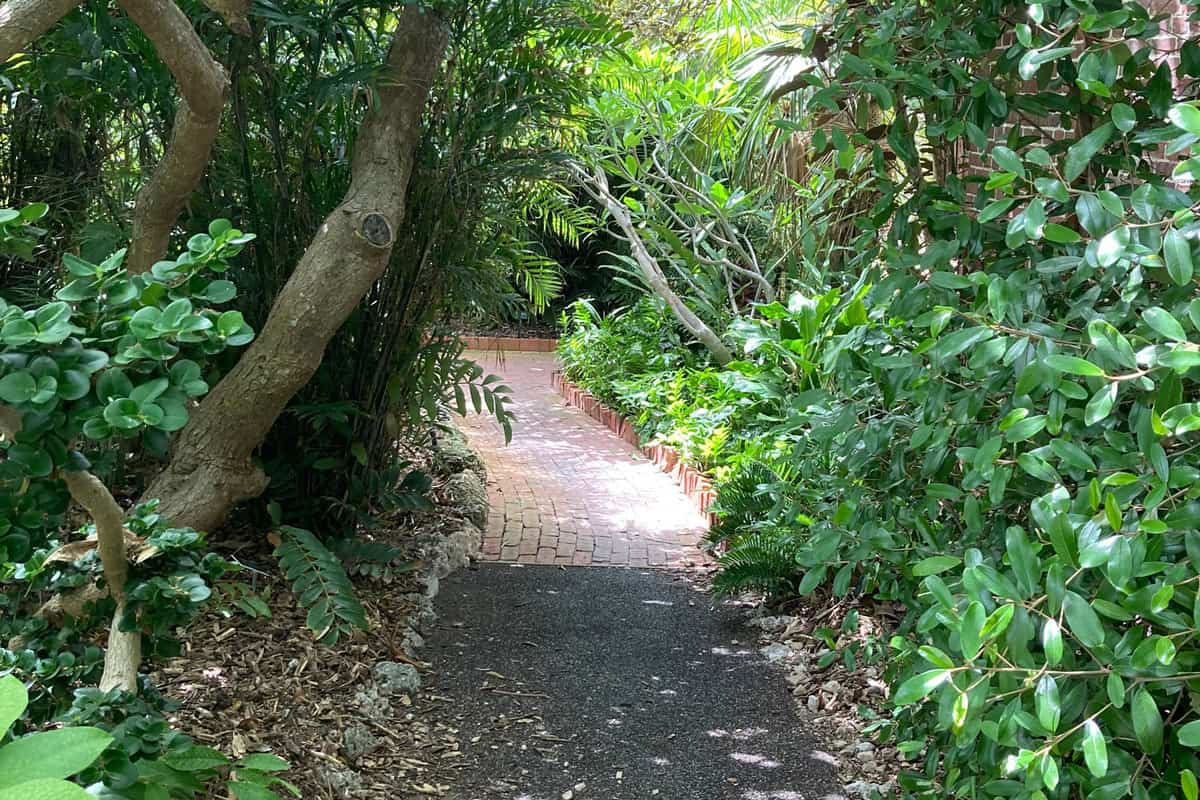 The Key West Garden club maintains the flora