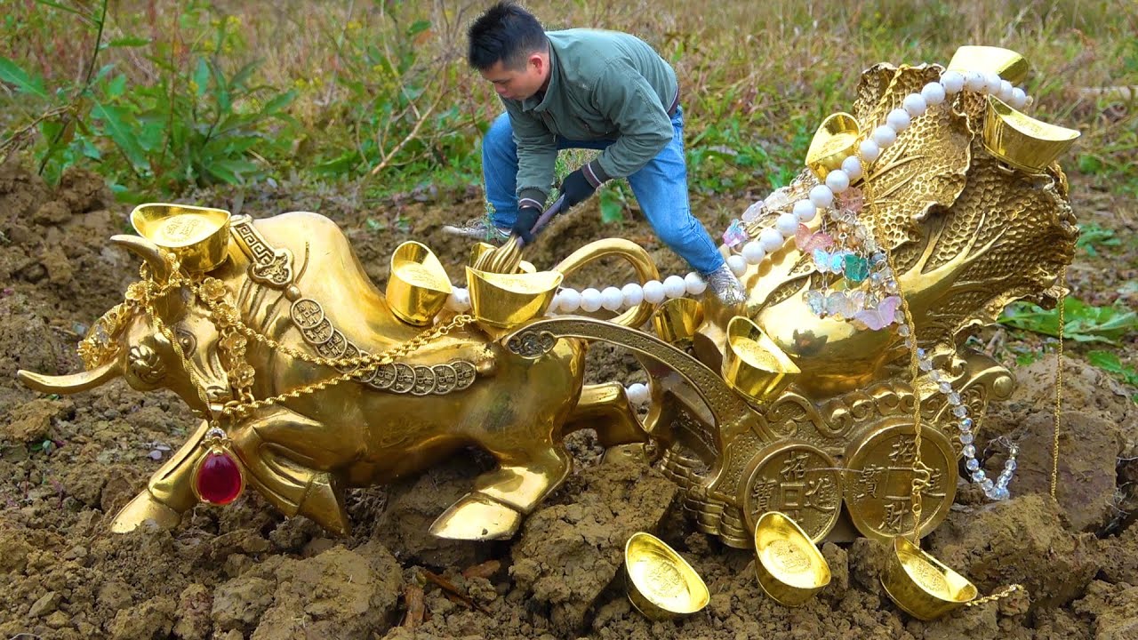 The boy searched for treasure in the wild and found super treasure in ...