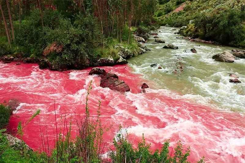 Peru: The Mysterious And Stunning Red River Becomes A New Attraction |  Vietnam Times