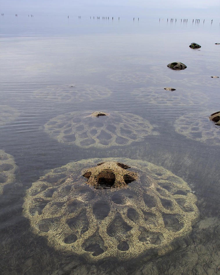 Artificial Reefs