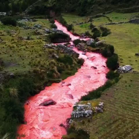 Peru's Pink River!!  Located in Cusco, Peru, this bizzare naturally pink  River runs pink when heavy rains unlock a sediment in th… | Nature, Red  river, Cusco peru