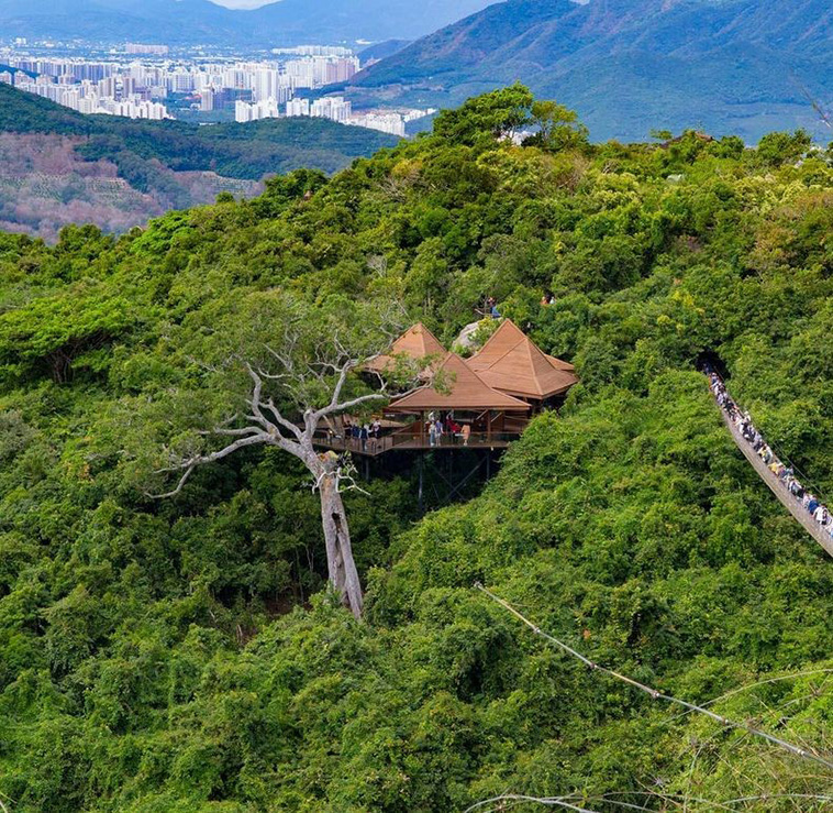 Earthly Paradise Bird Nest Resort