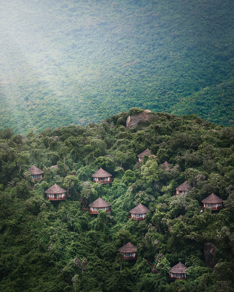 Earthly Paradise Bird Nest Resort