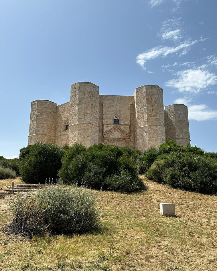 the outside bushes of the castle