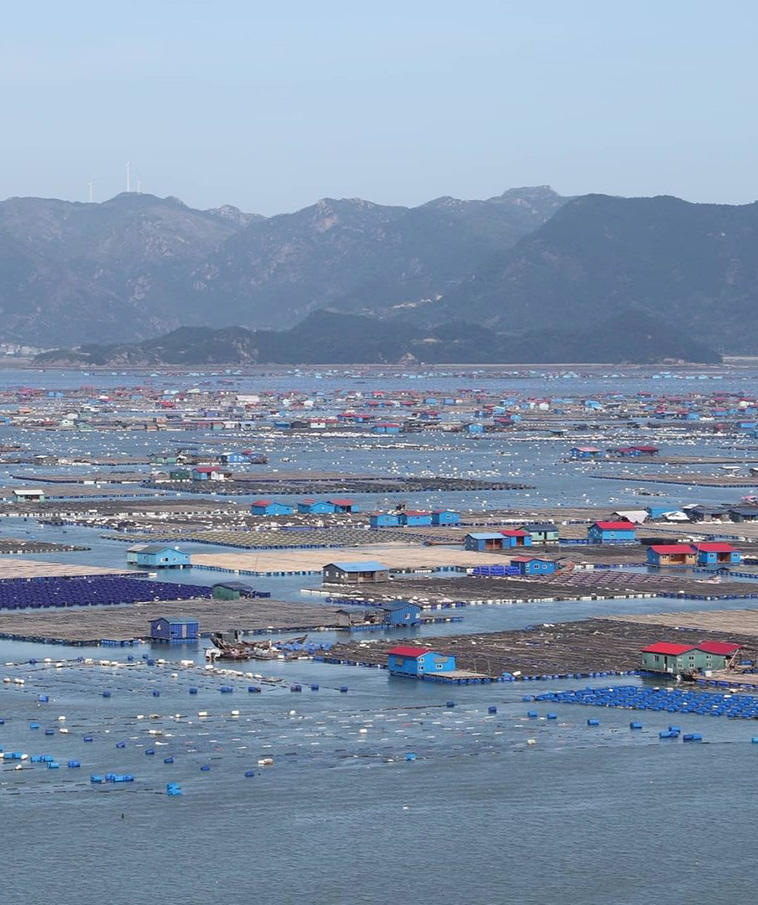 China's Floating Fishing Village