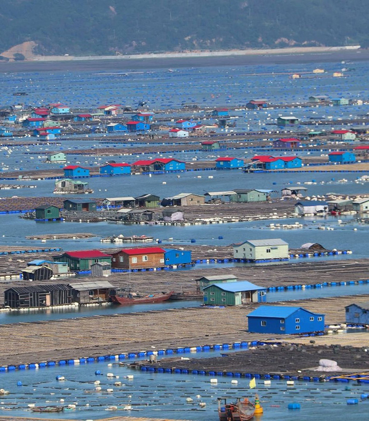 Floating Fishing Village