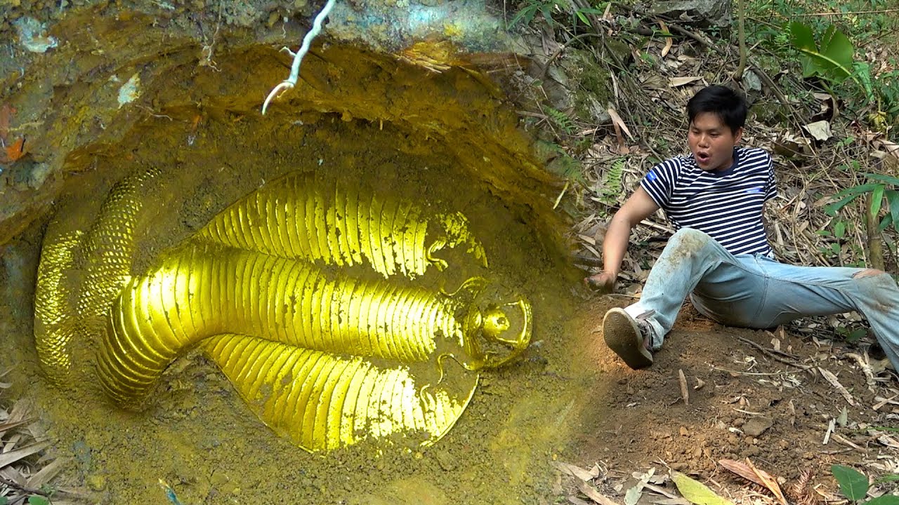 Searching for treasure on the hillside, I found a king cobra sleeping for thousands of years - YouTube