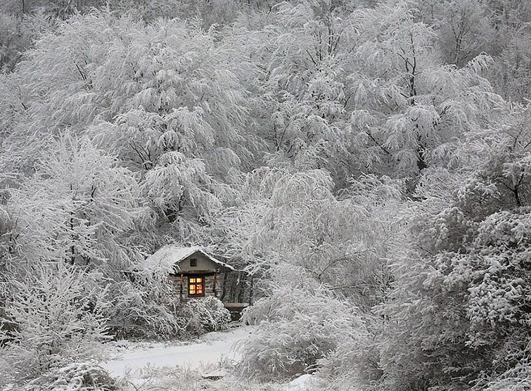 Little Lonely Houses