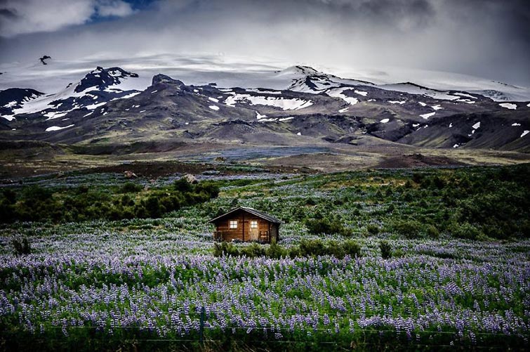 Little Lonely Houses