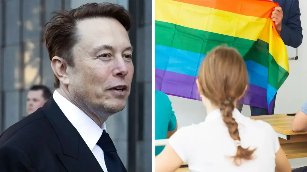 Elon Musk Pride Flags Classrooms